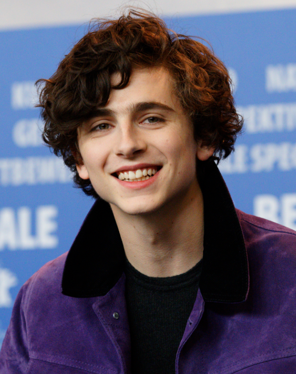 Cornerstone of Culture: The Timothee Chalamet Lookalike Contest